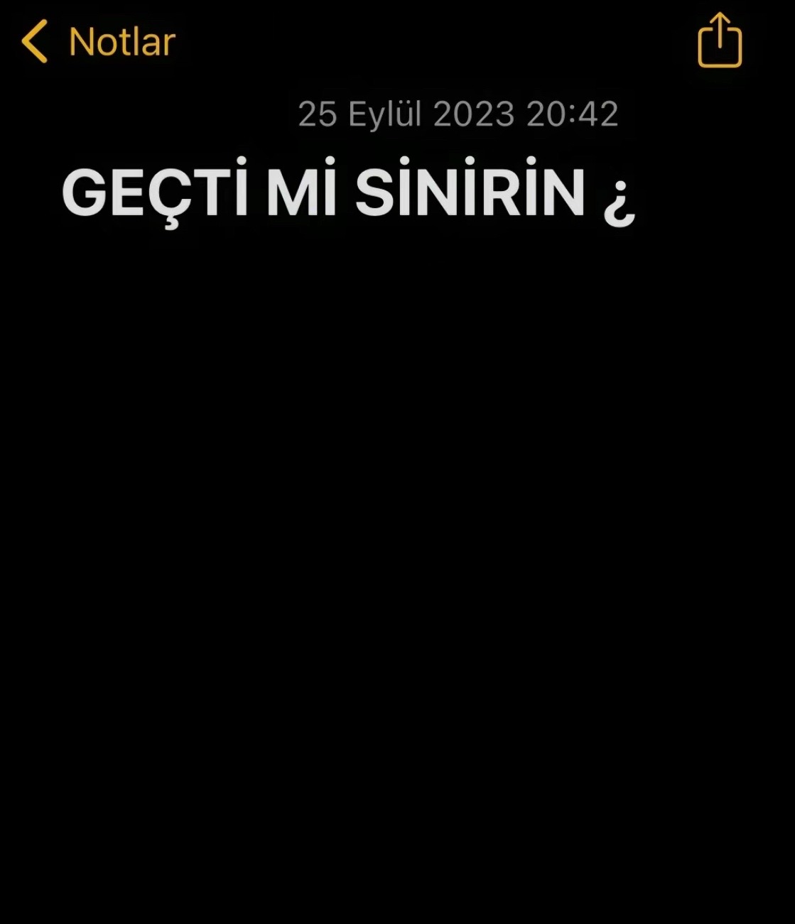 @Erman Camuz