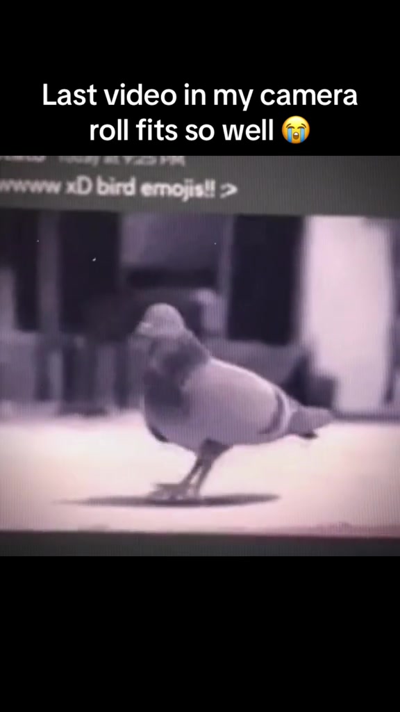 @Clipclapcal