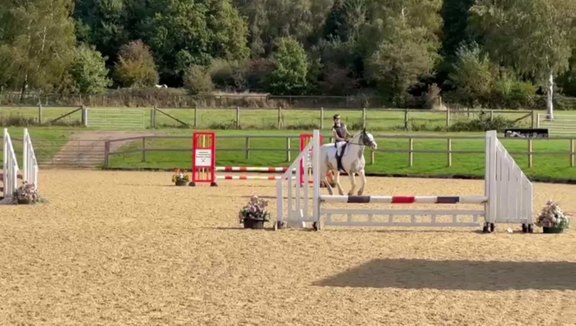 @Ruby🐴