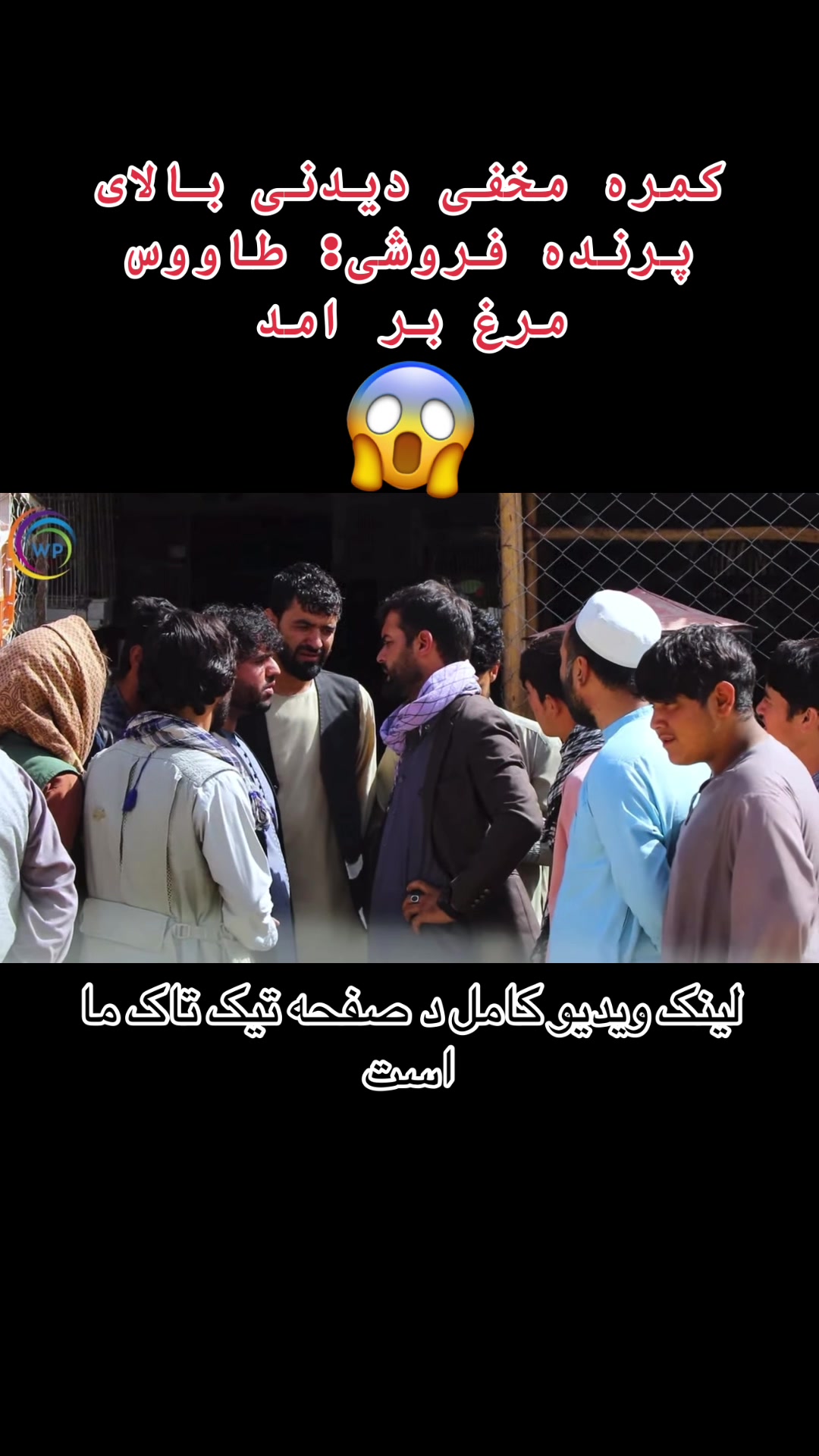 @watandarplus_fans