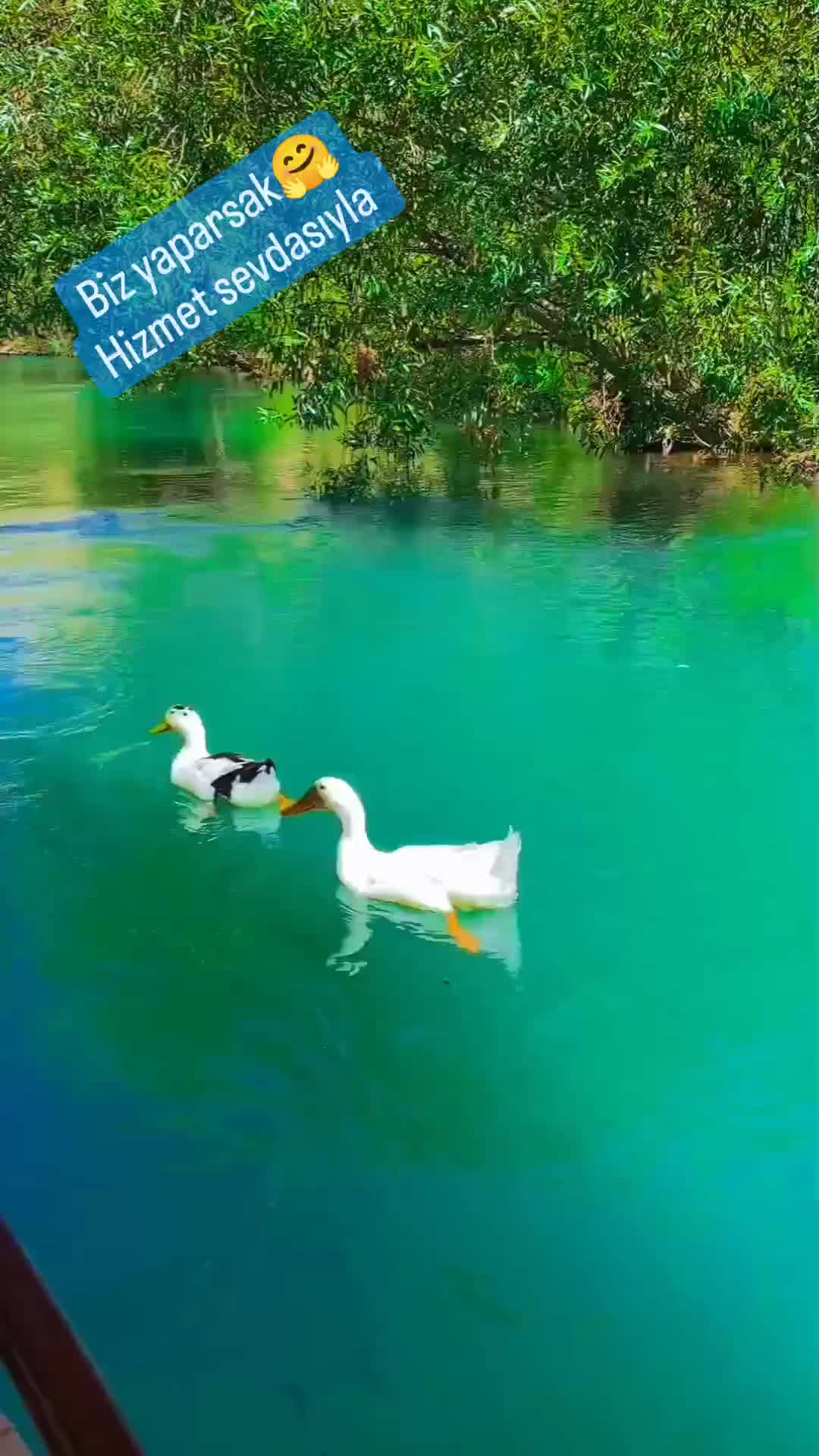 @BEYAZSU_YAŞAM