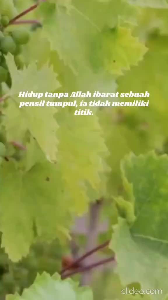 @arzakina2021