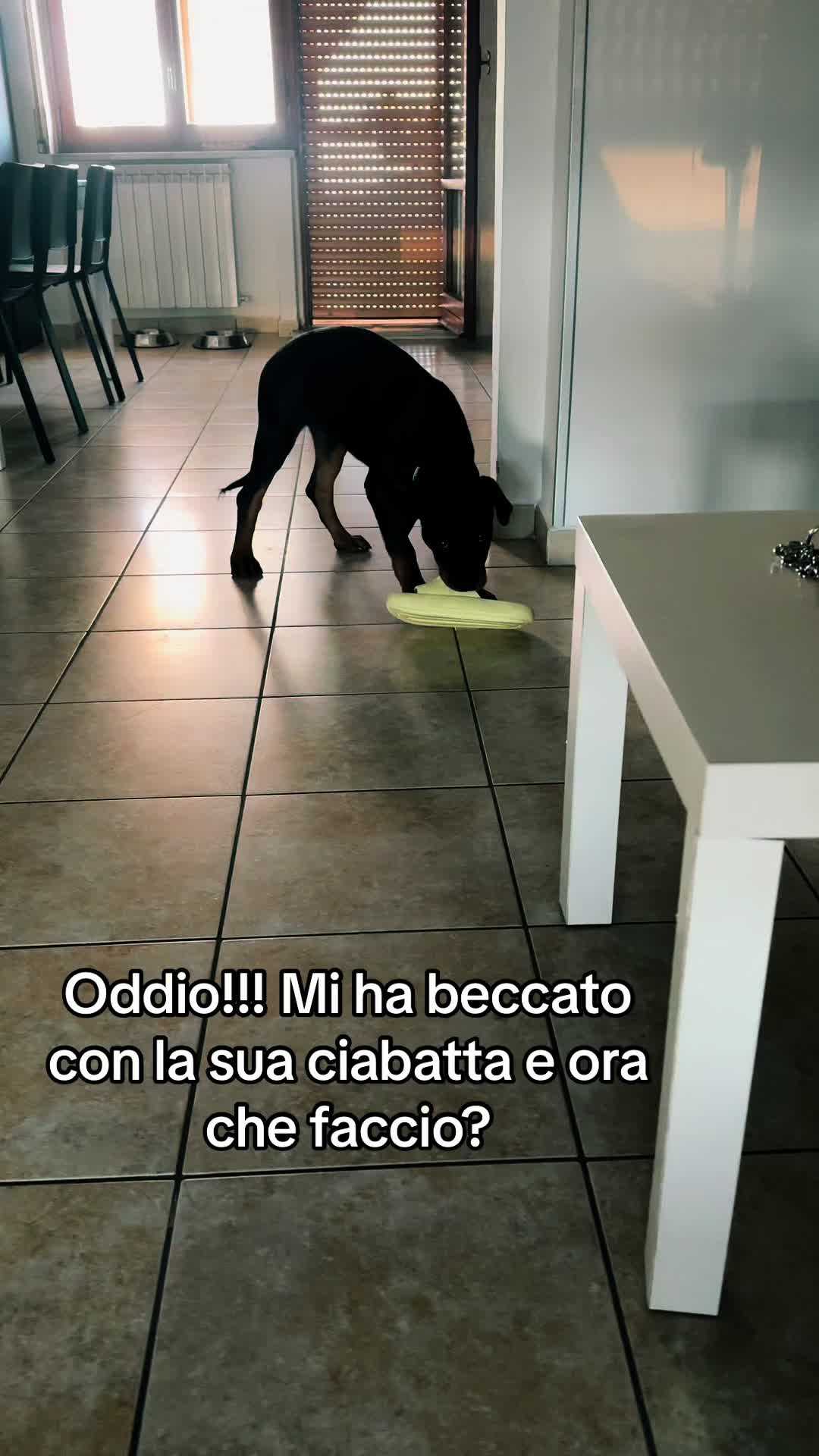 @federica_santuccio_