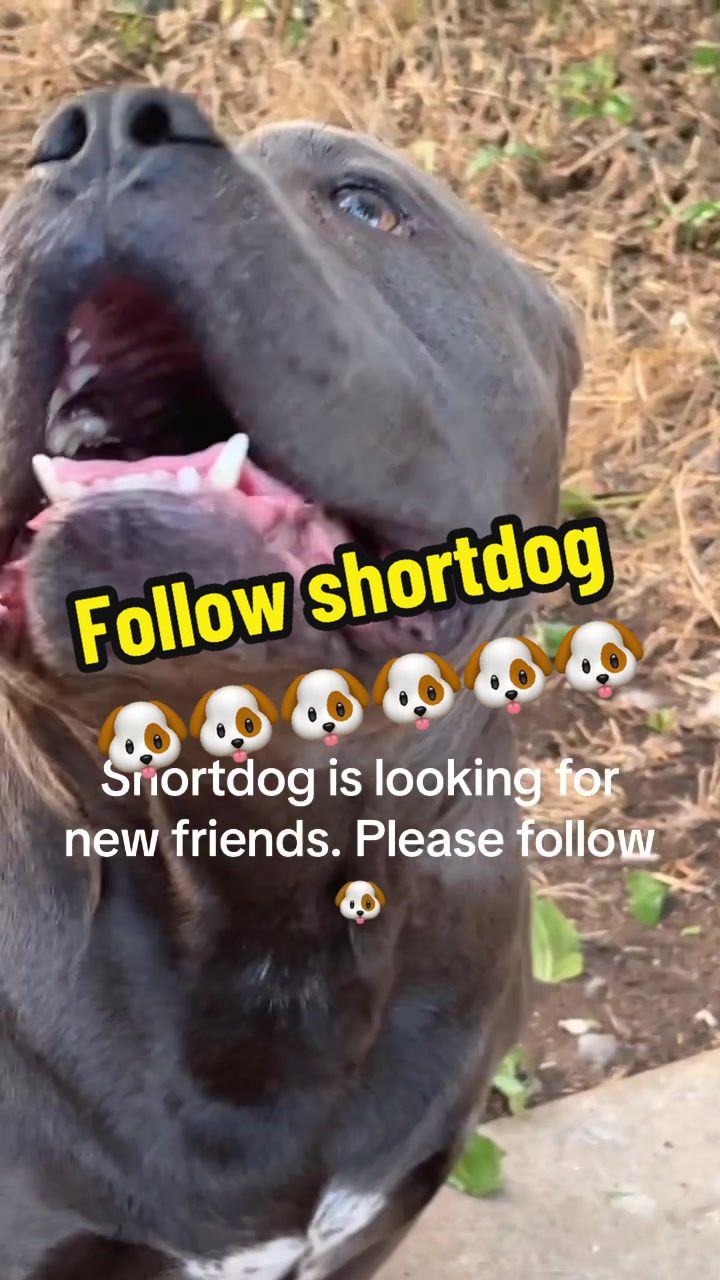 @poohbie2trill&shortdog