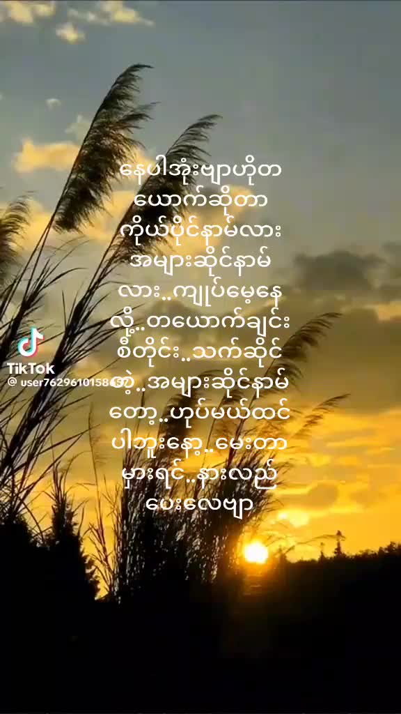 @minmardar