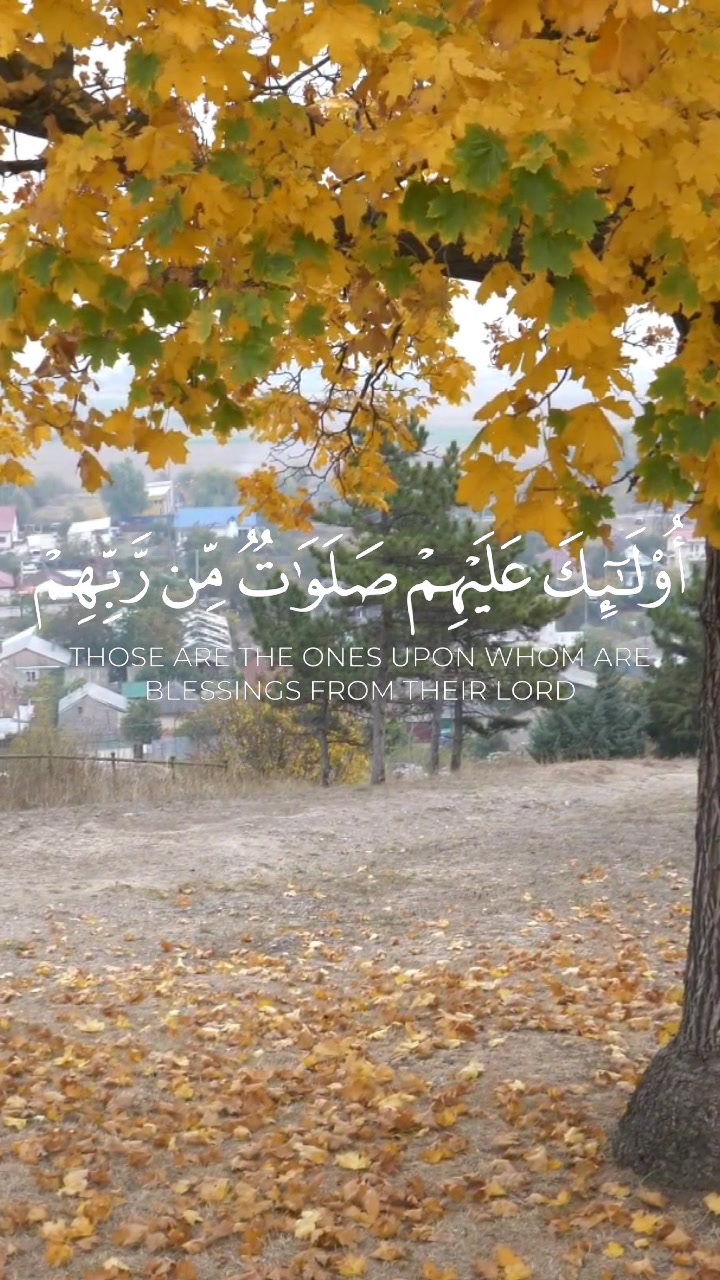 @Islamocinema