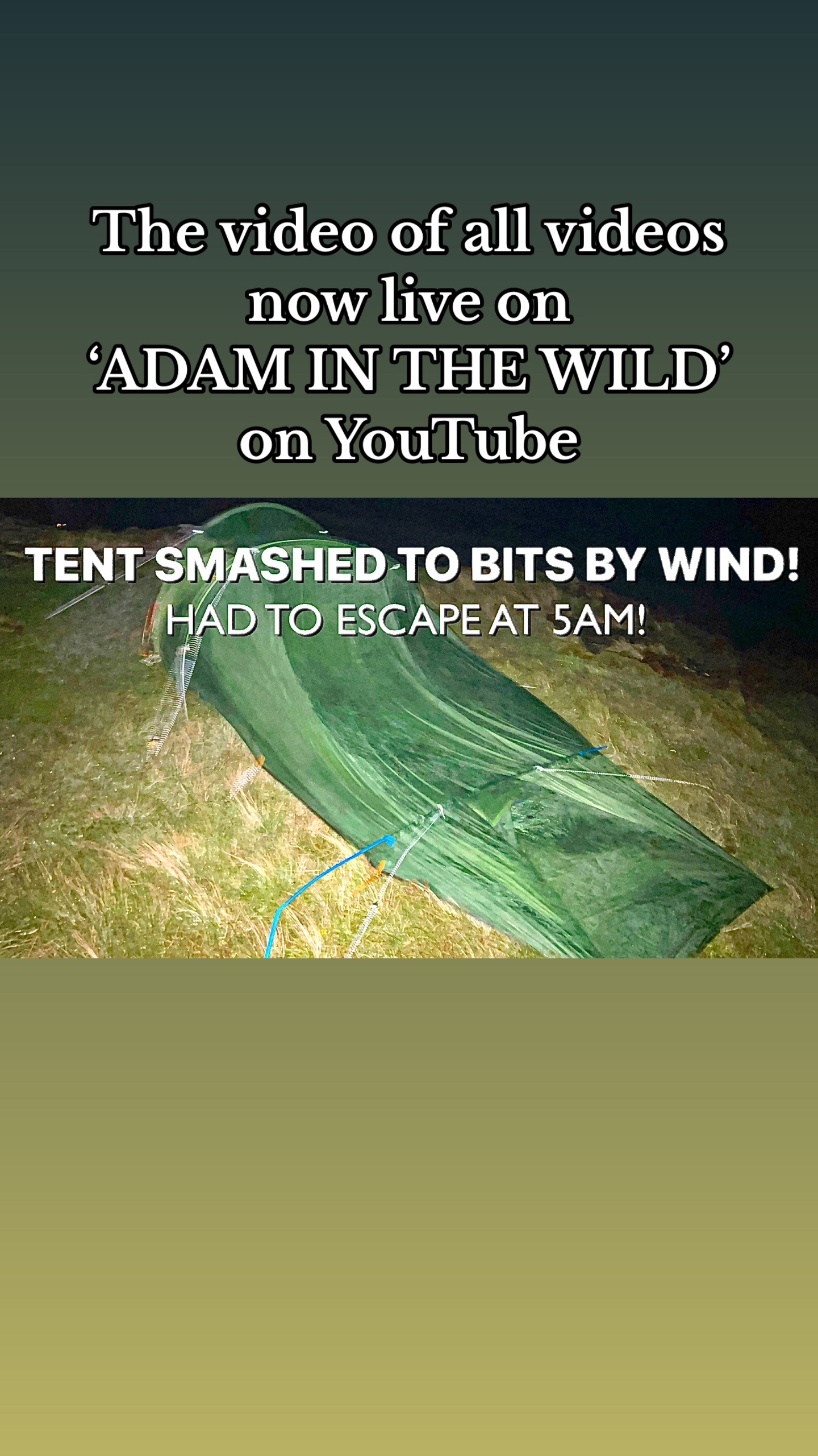 @Adam in the wild