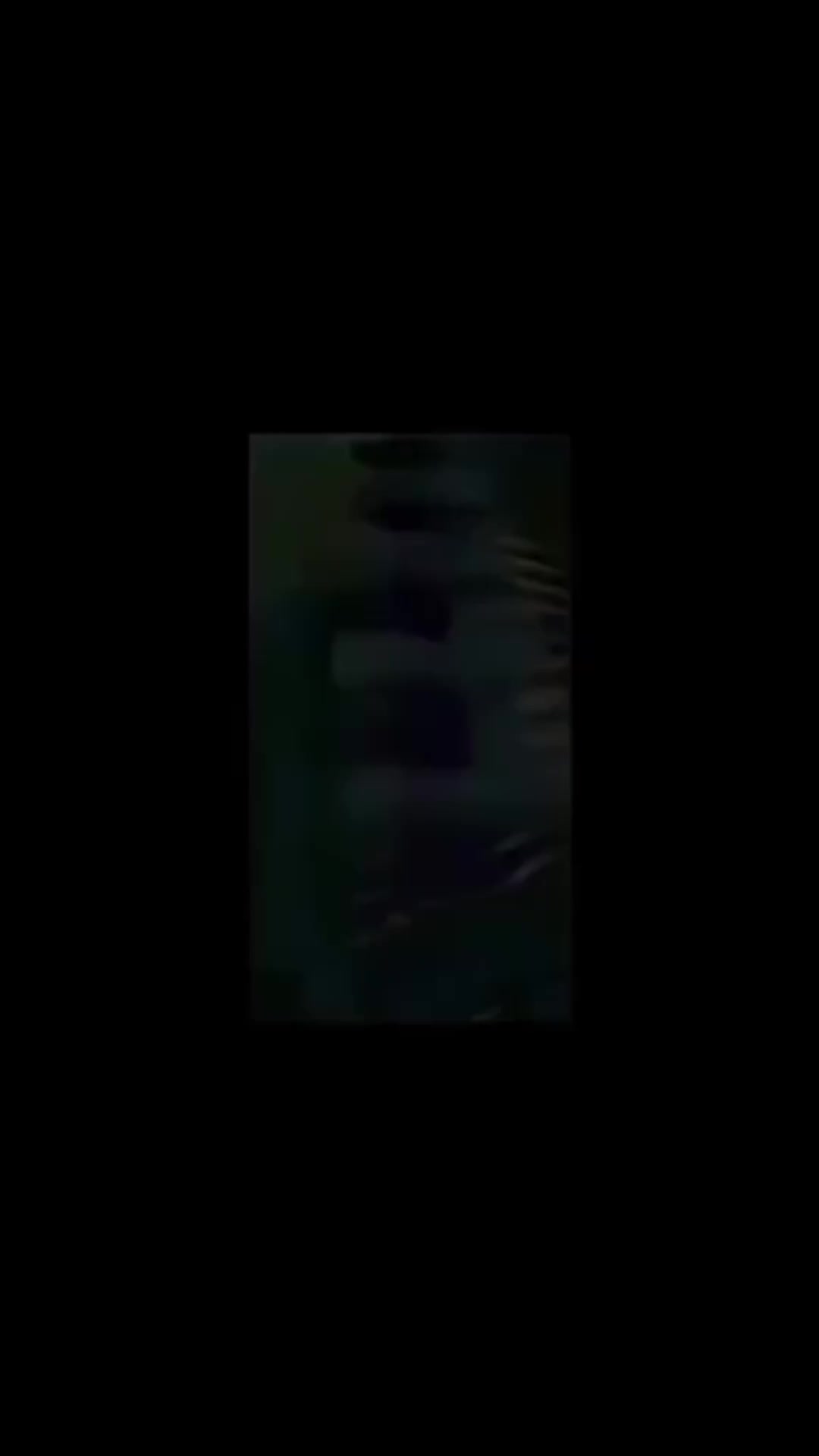 @victor_mitchino