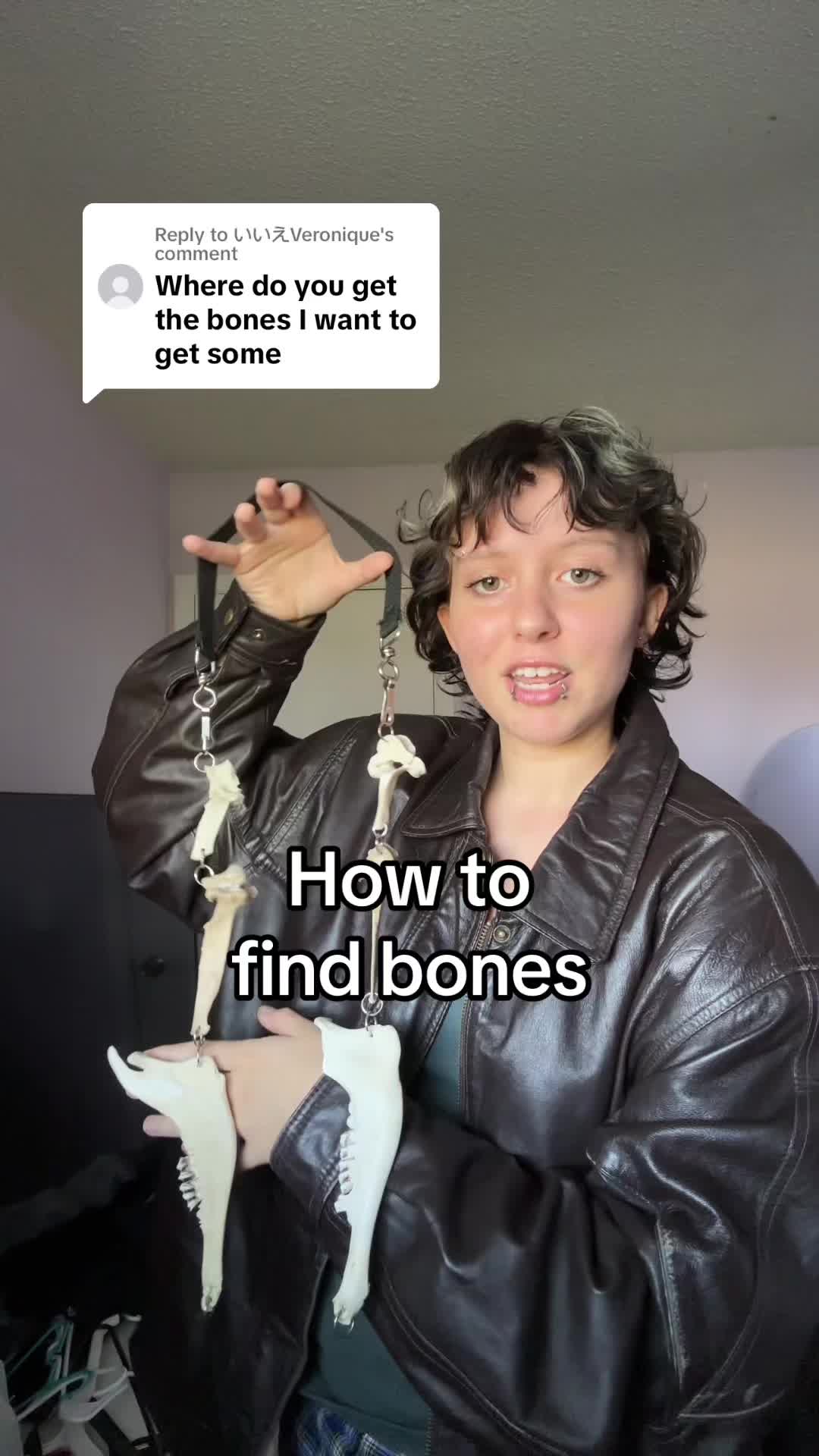 @Closet&ensp;Of&ensp;Skeletons