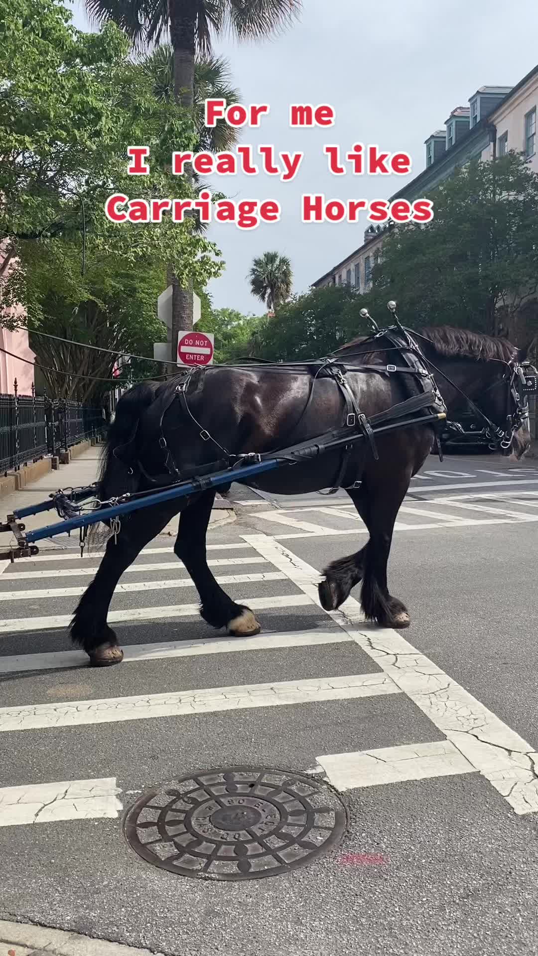 @Carriage On