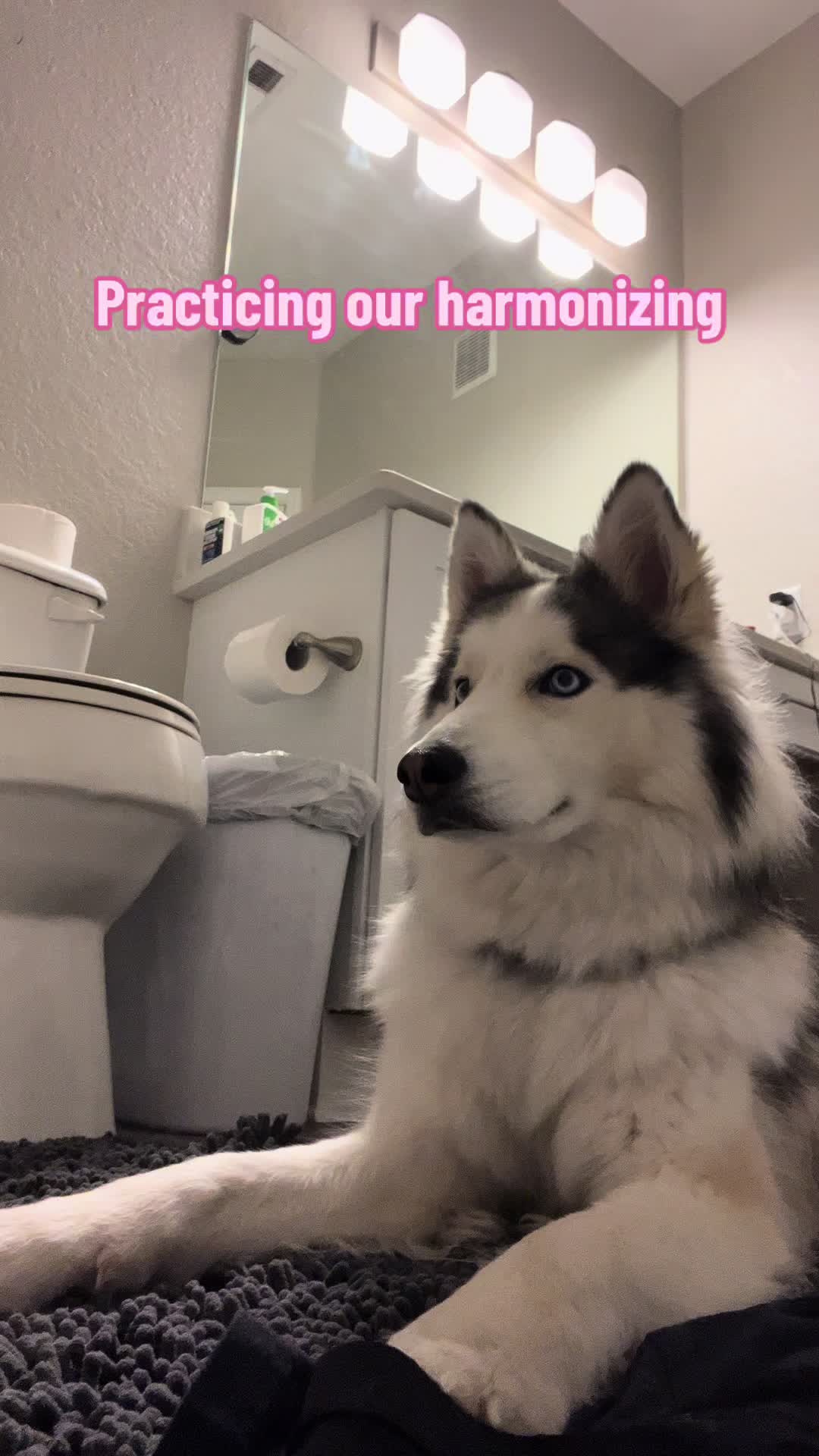 @Winnie & Wookie🐾