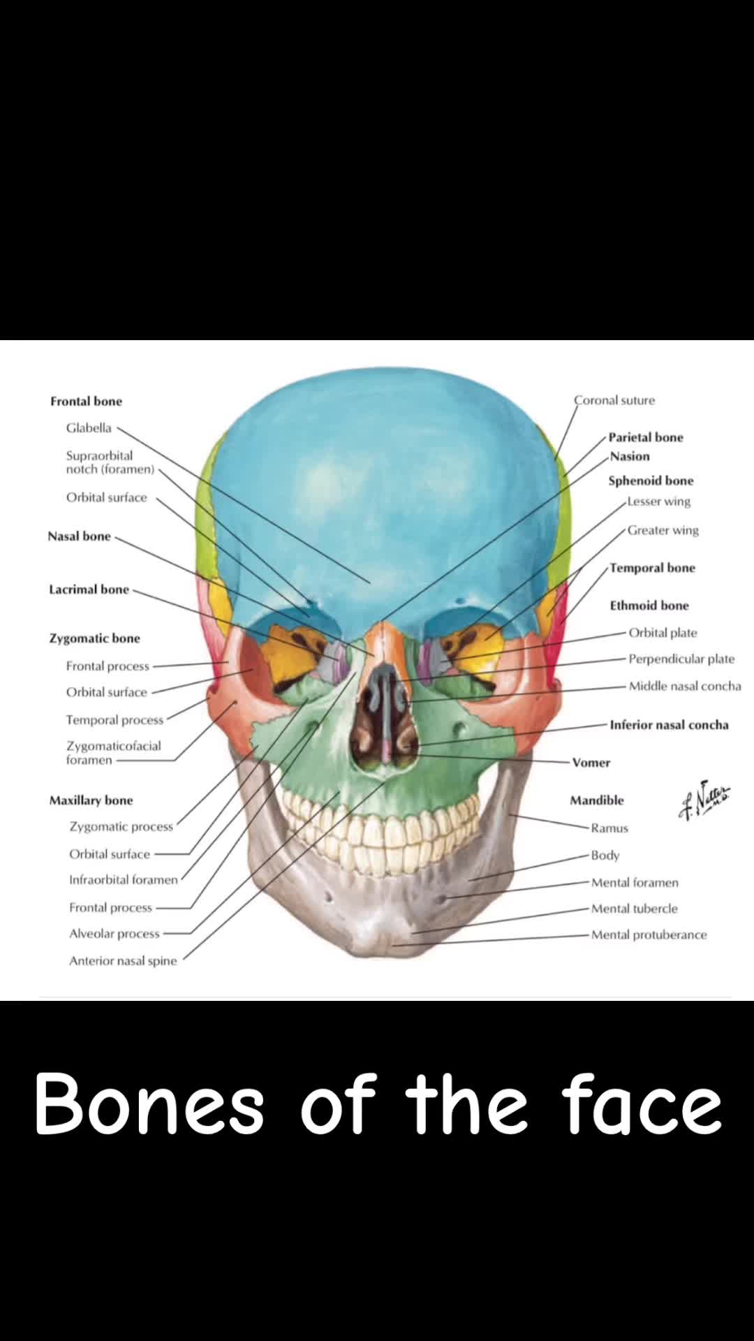 @1minutelearning