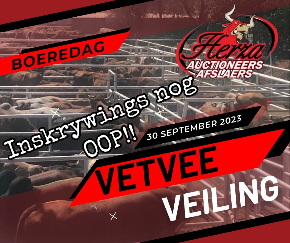 @Herza Auctioneers/Afslaers