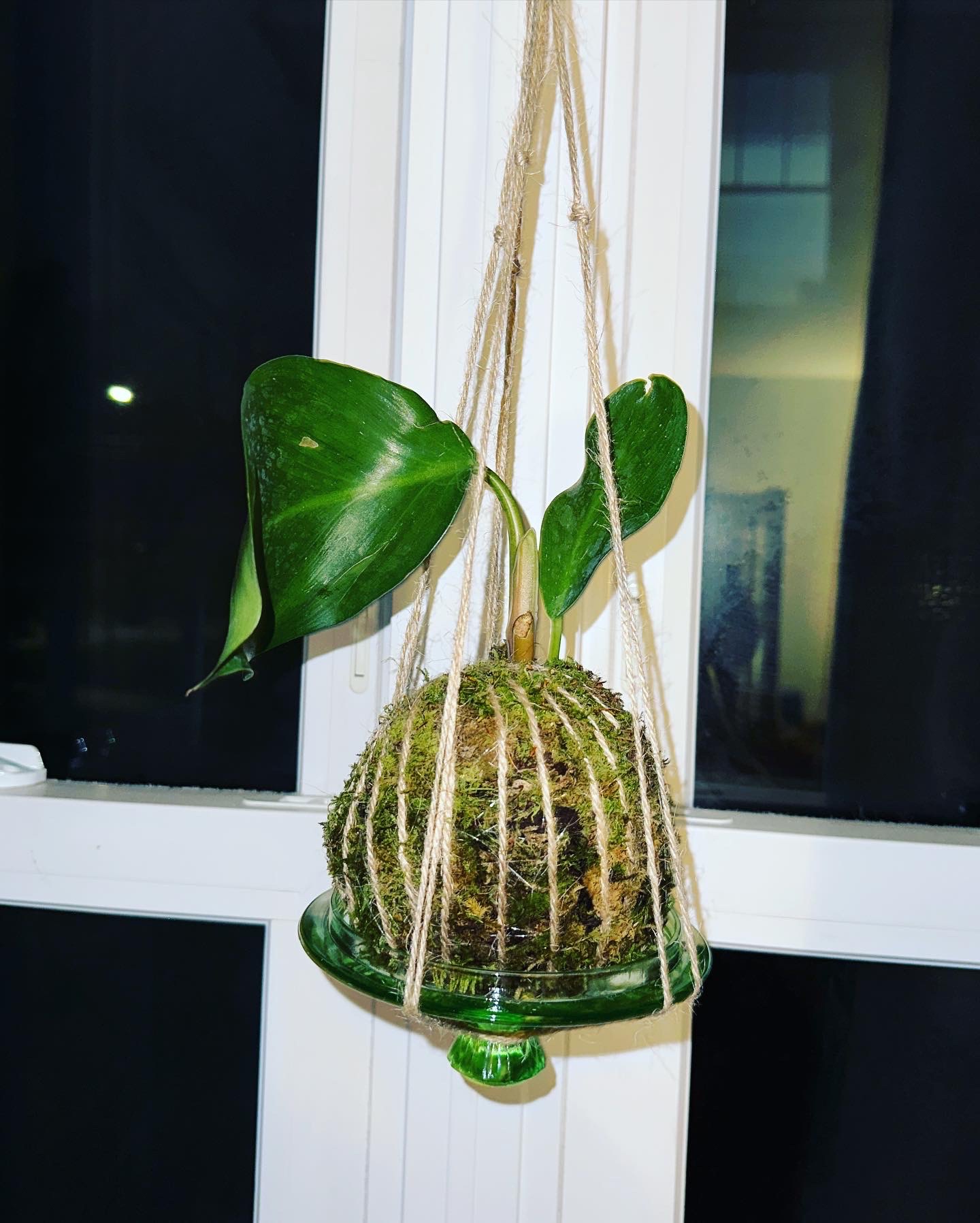 @Art-Plant-Upcycle