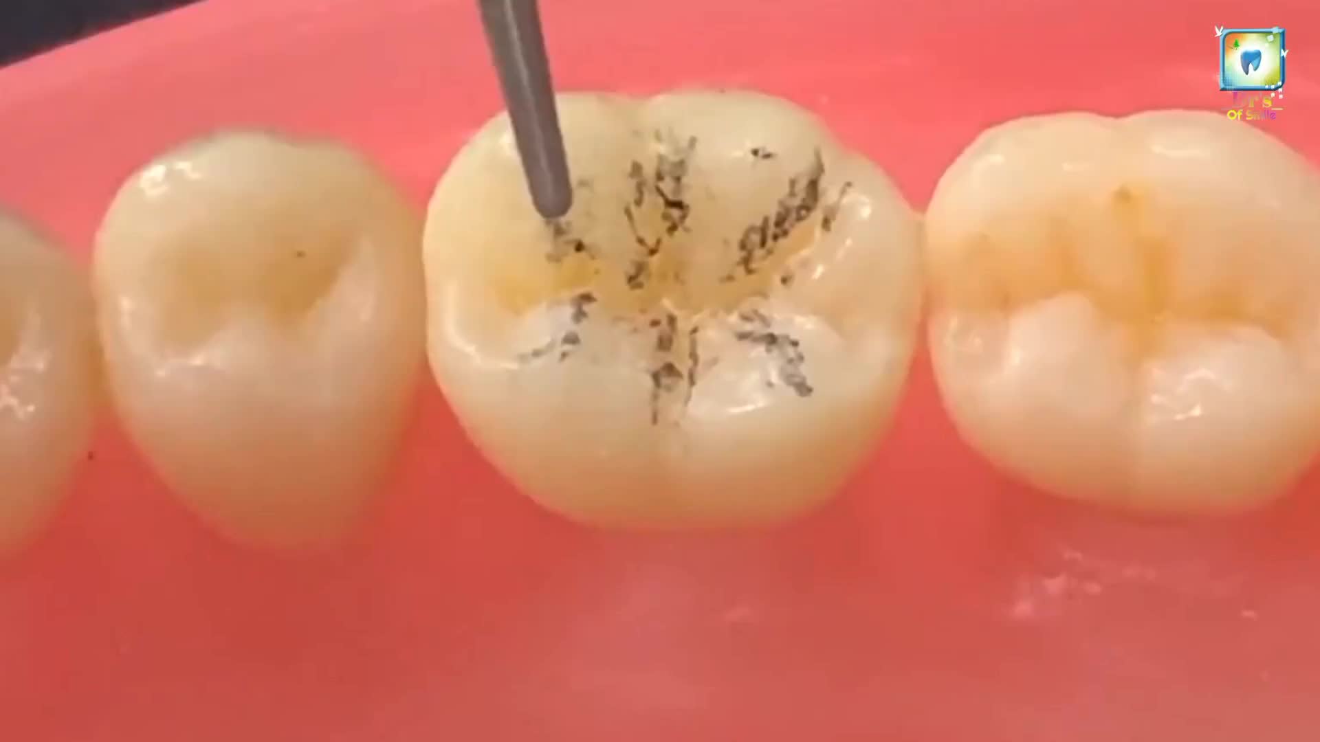 @𝗗𝗿'𝘀 𝗢𝗳 𝗦𝗺𝗶𝗹𝗲🦷🧑&zwj;⚕️