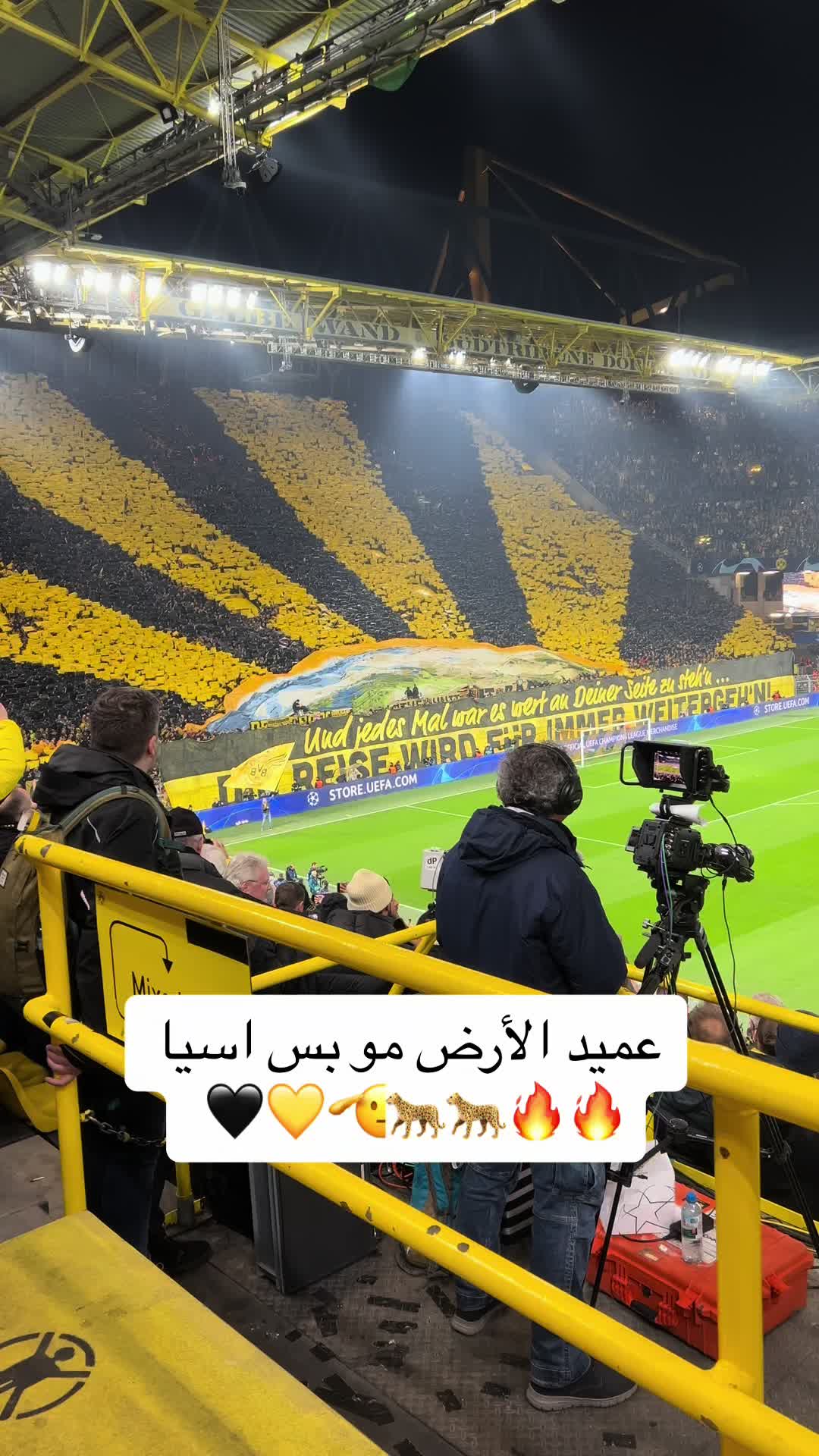 @Mahmoud Zakaria