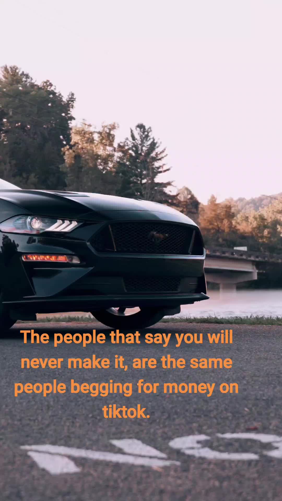 @NightShade5.0