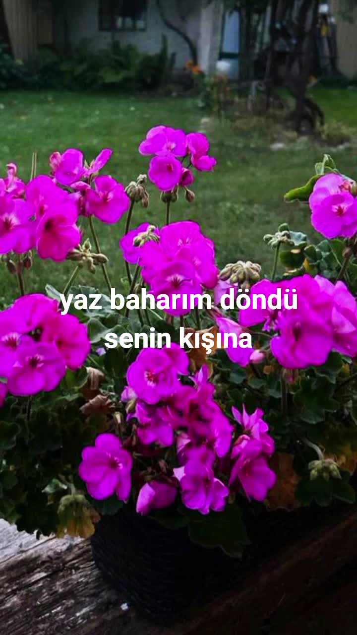 @Karako&ccedil;