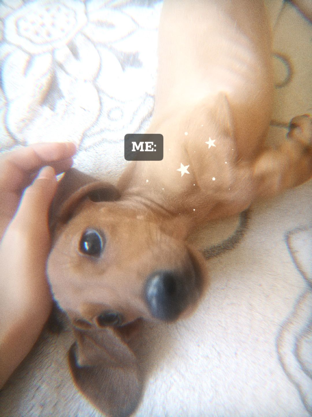 @水瓶座