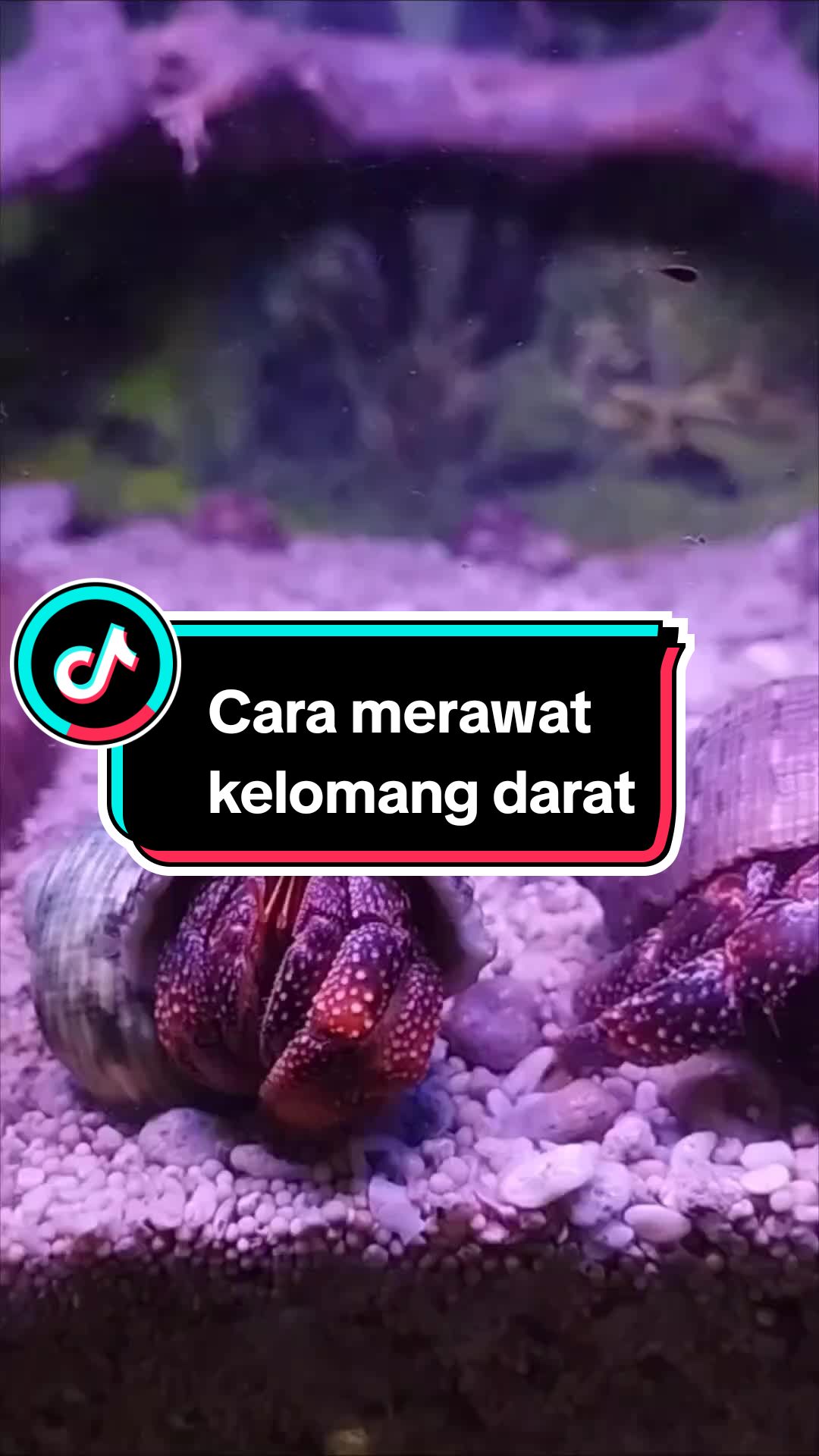 @Lukman hakim
