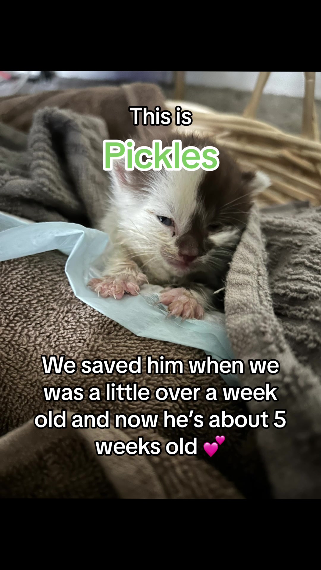 @JcJackKnife
