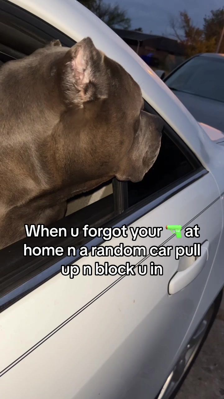 @poohbie2trill&shortdog