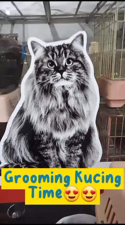 @Hachiko PetShop Wiyung