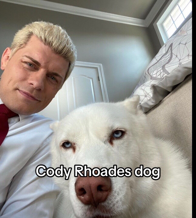 @WWEFAN