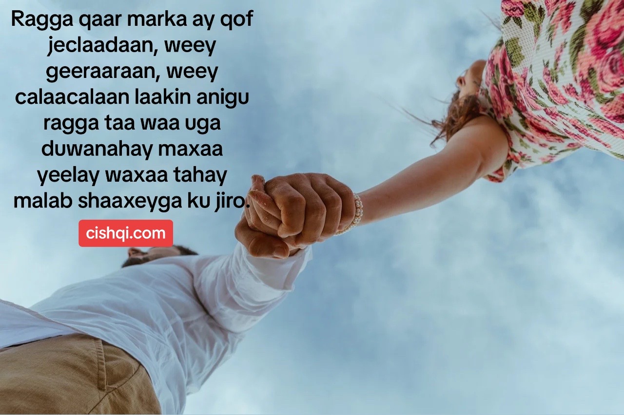 @CISHQI