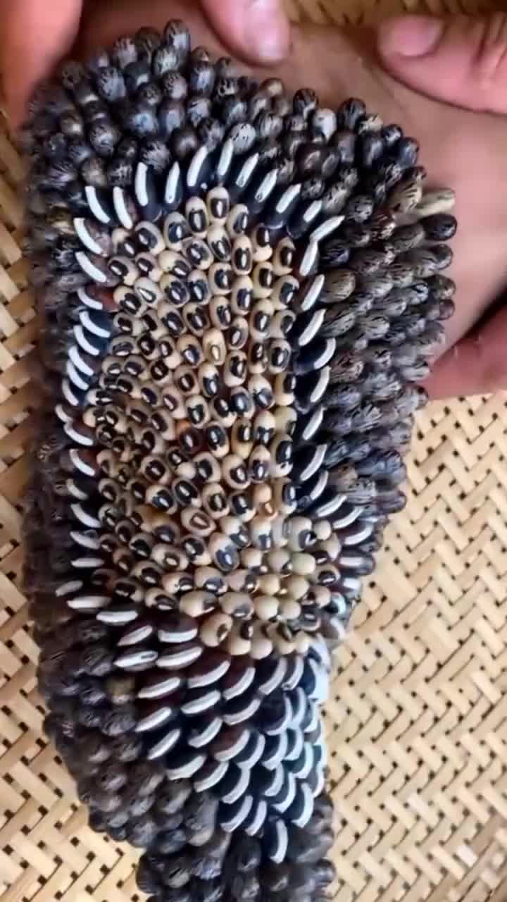 @tickyouu