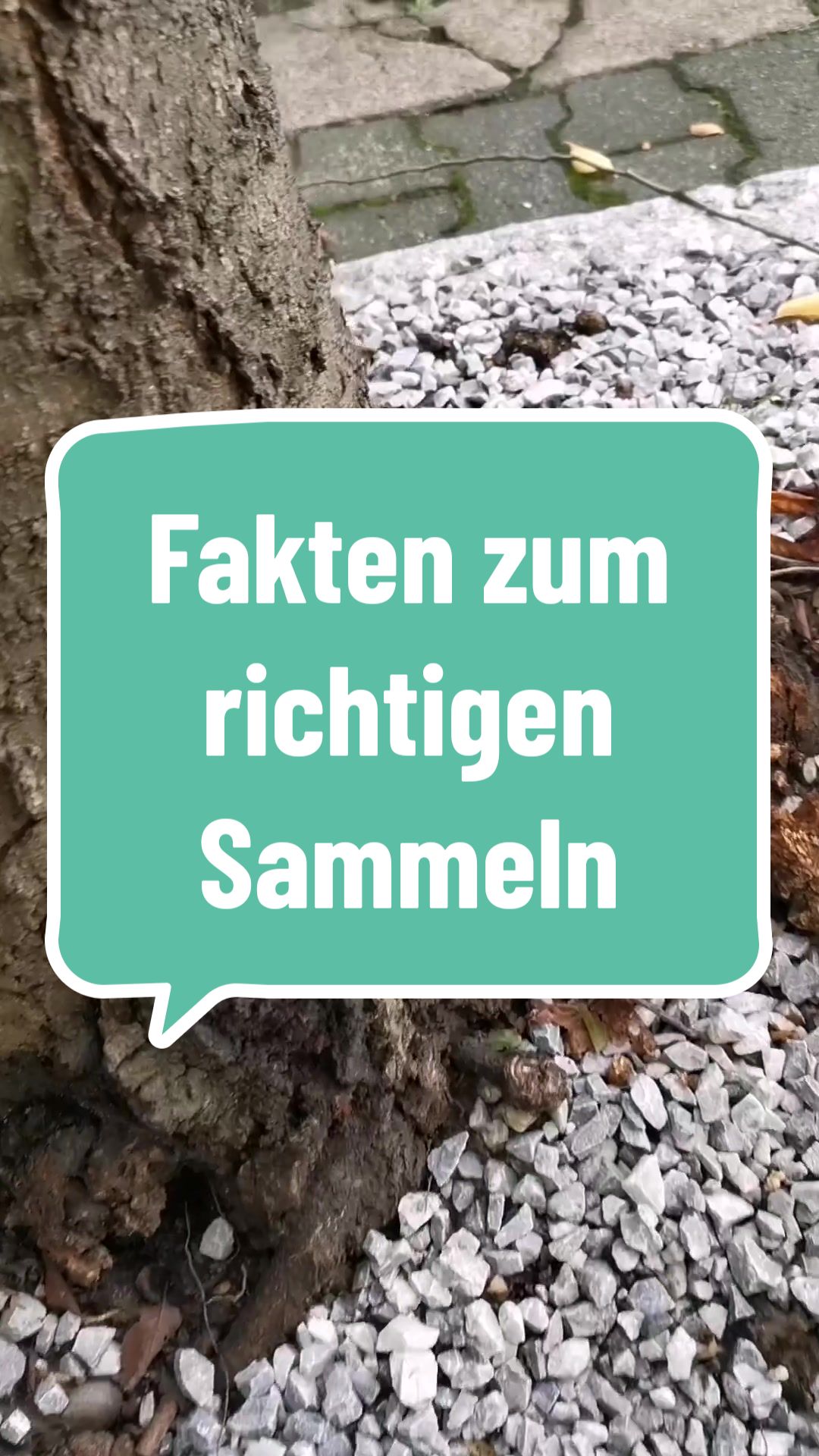 @Die.Waldeule