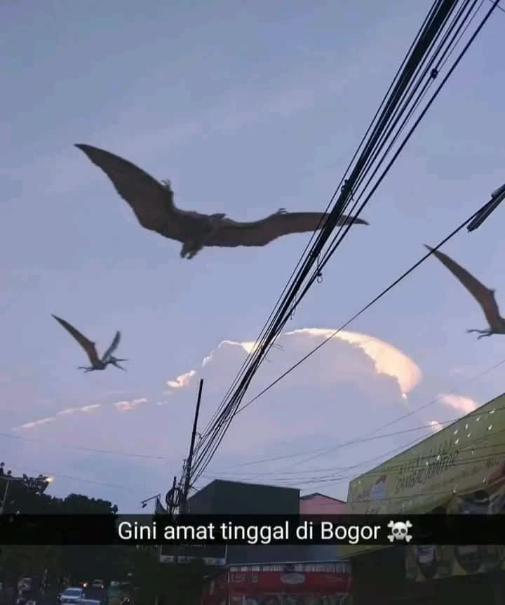 @zako doyan bakwan