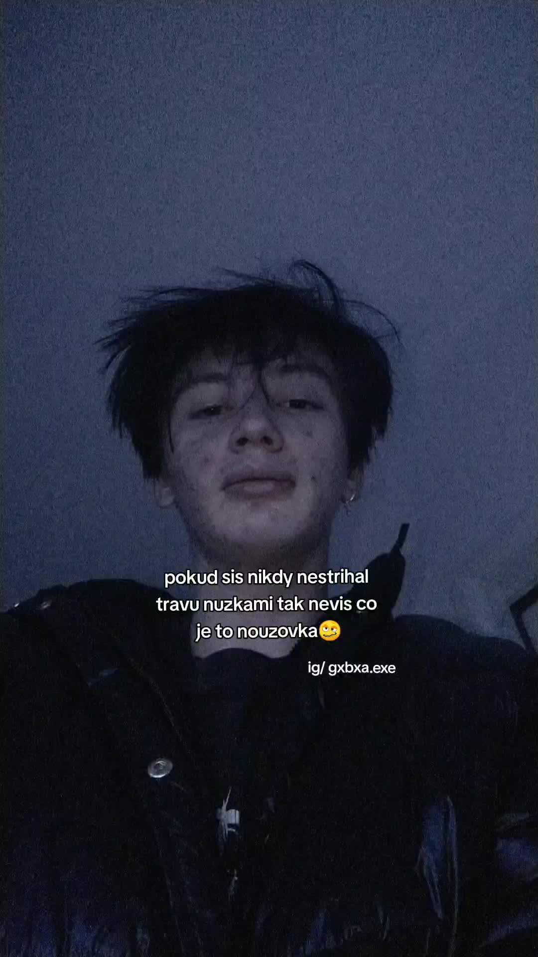 @kvitek