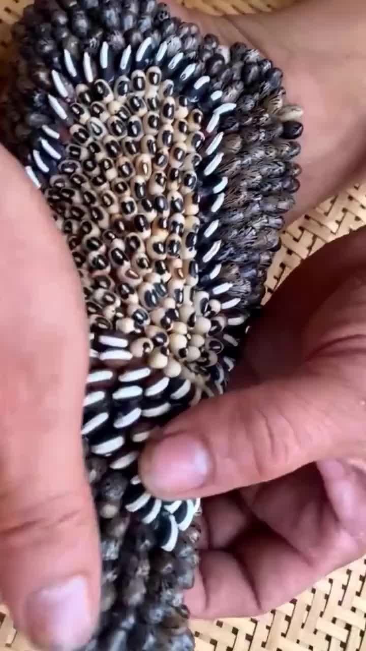 @tickyouu