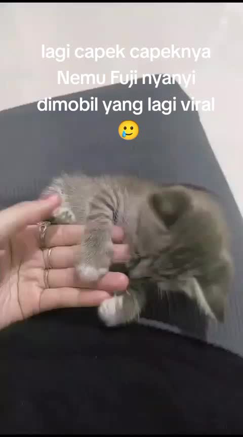@fyaa