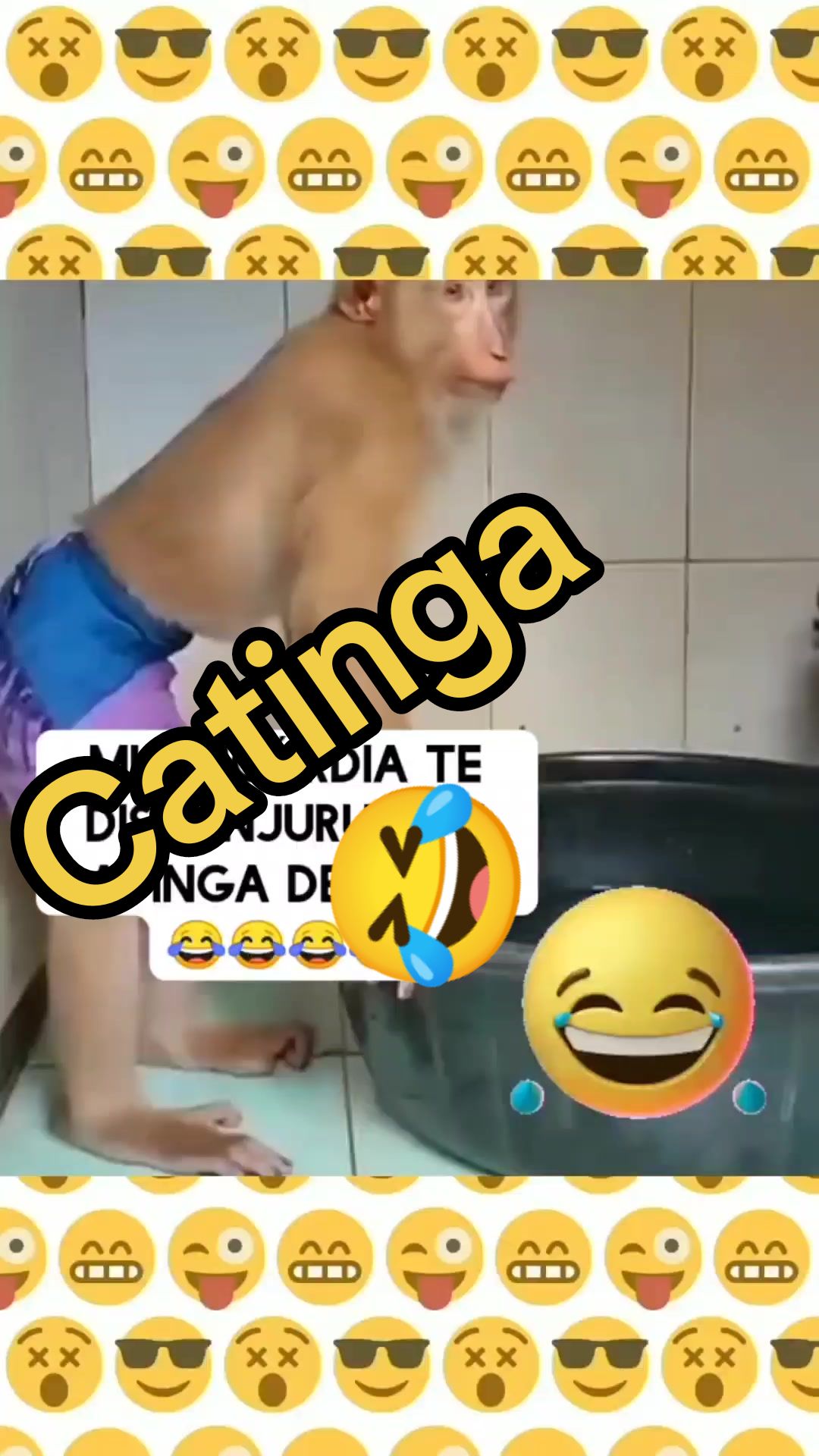 @Neto