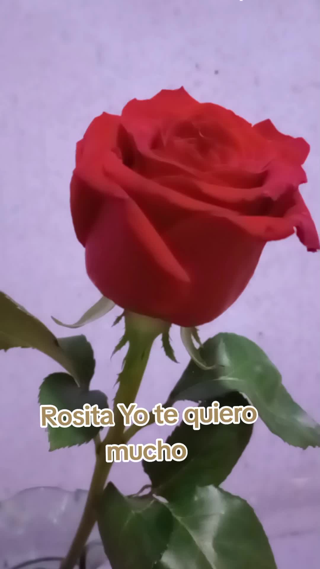 @ELiana 80