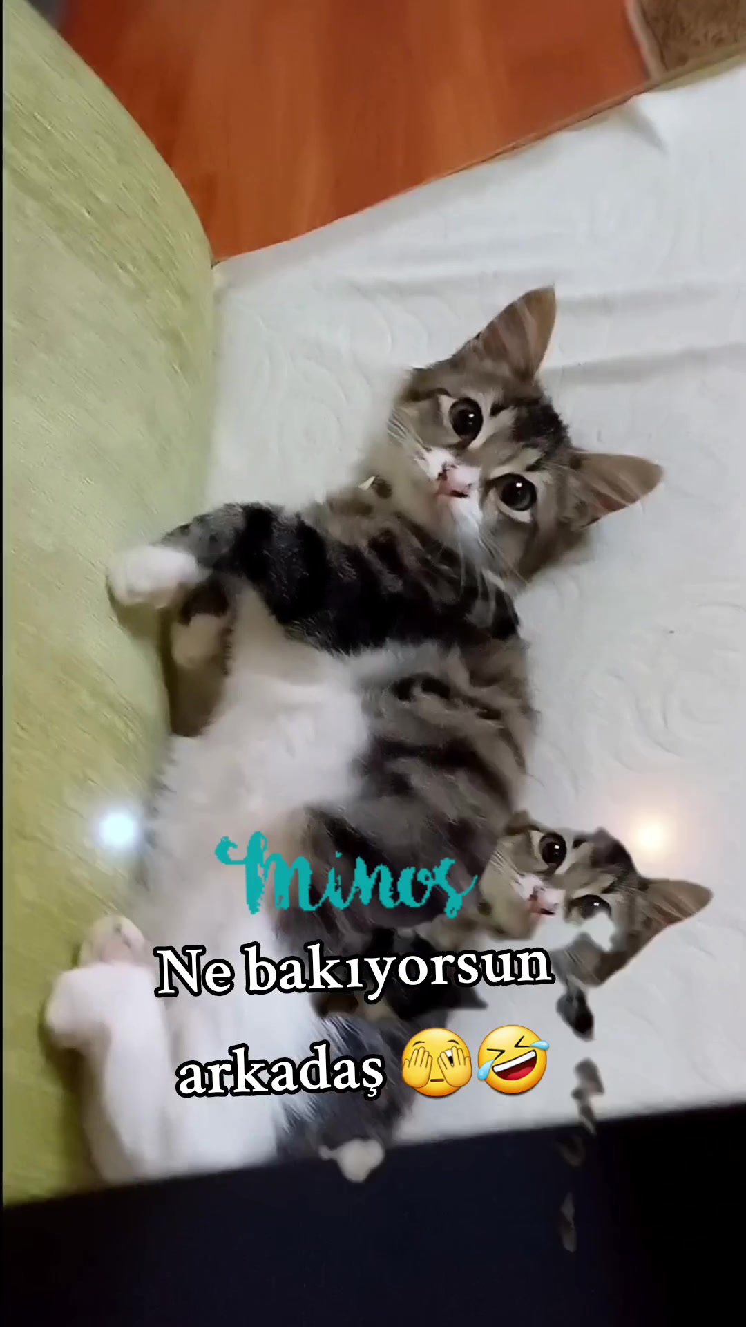 @&Ouml;zbek kizi