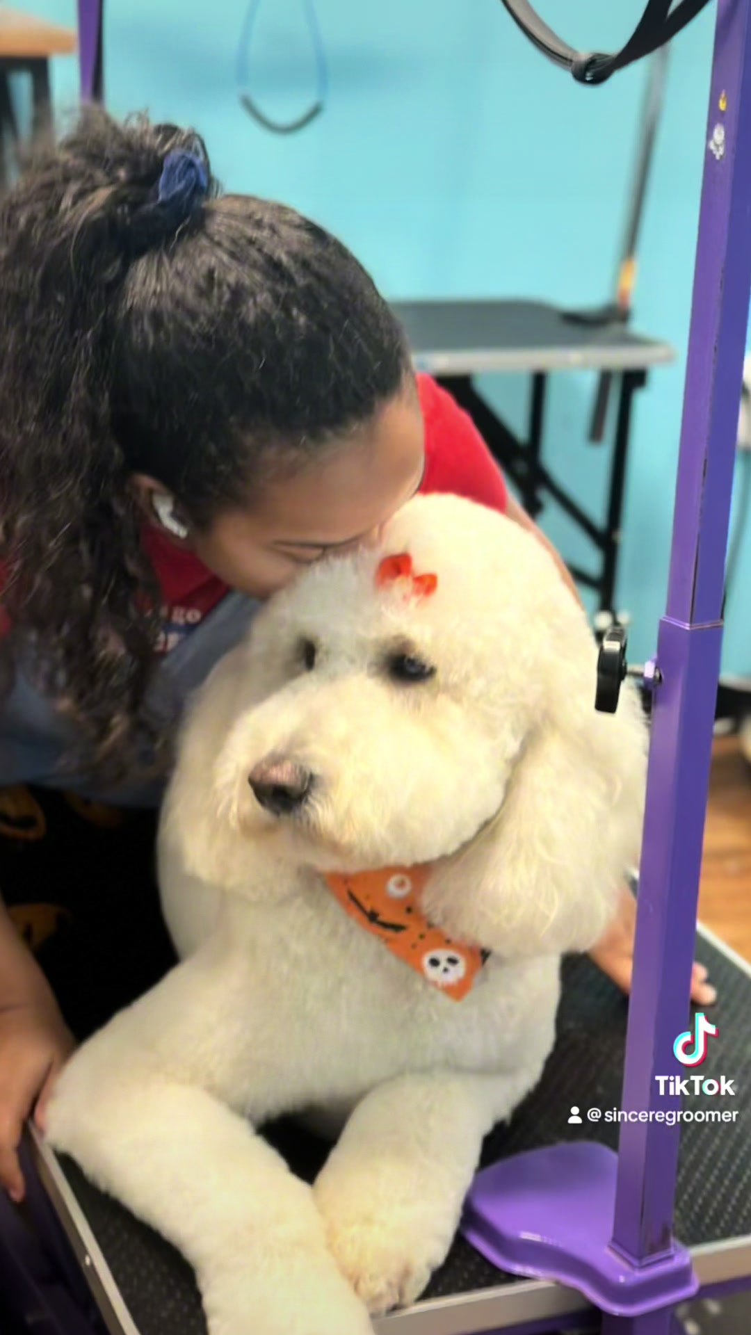 @Sincere Groomer
