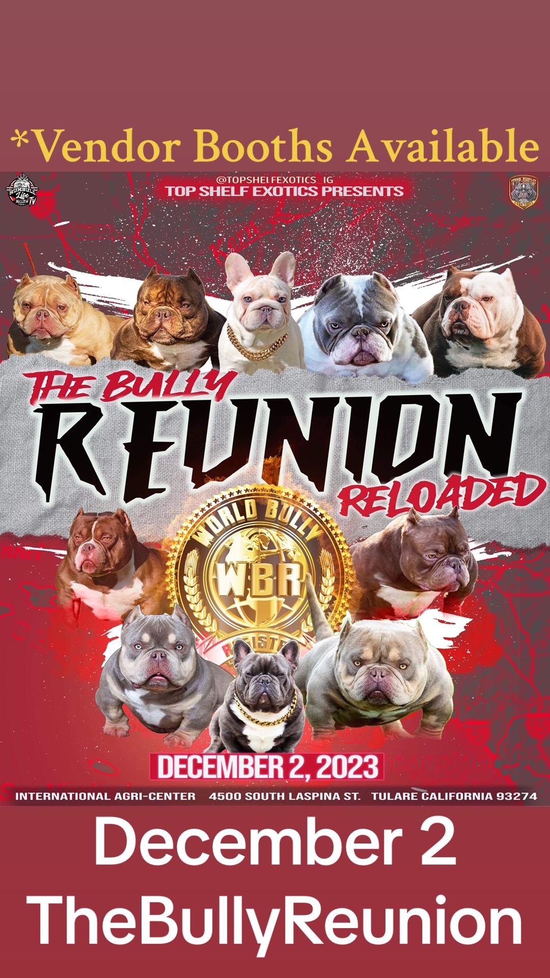 @top shelf exotics