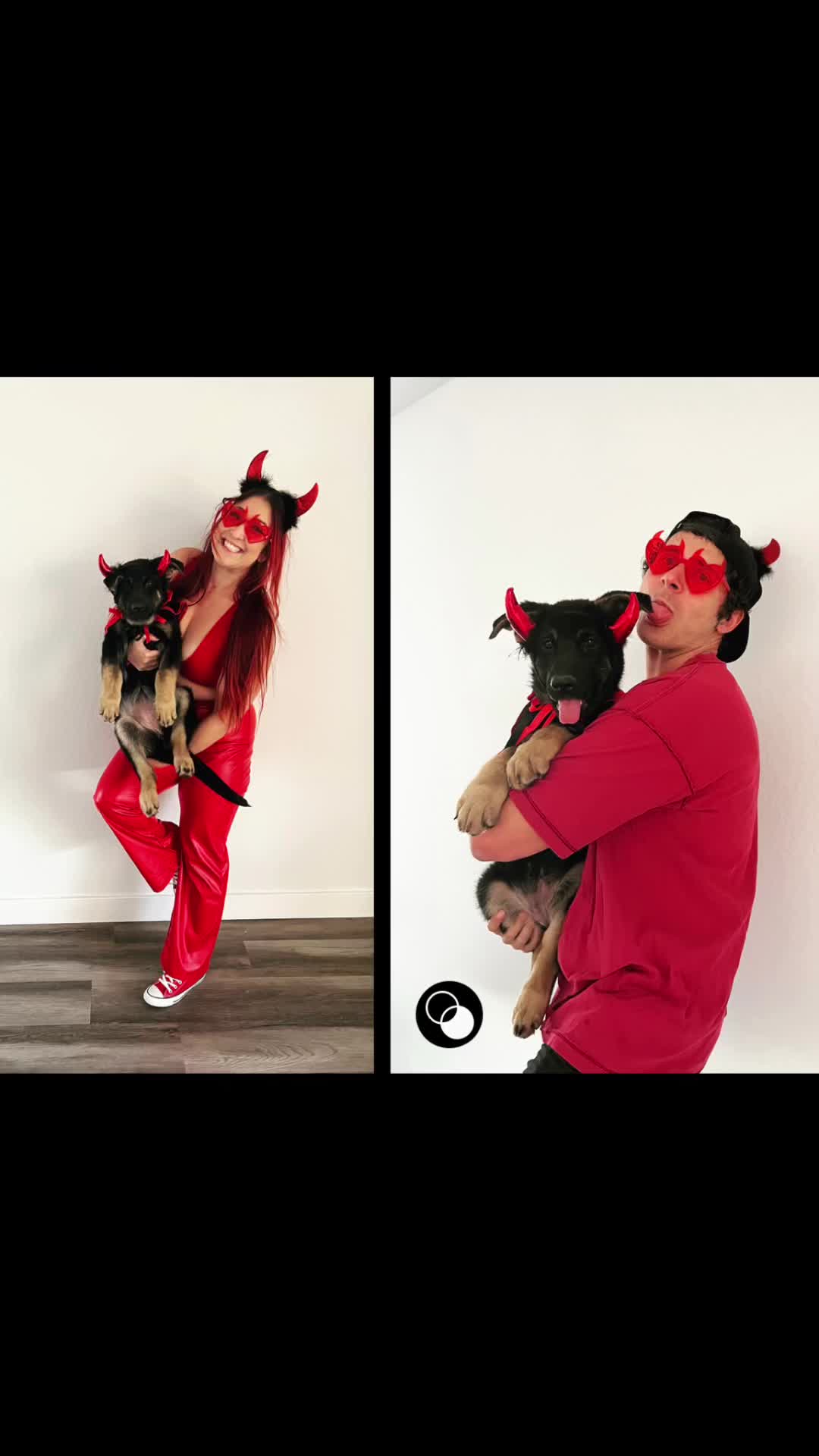 @KokaKoaTheAlaskanMalamute