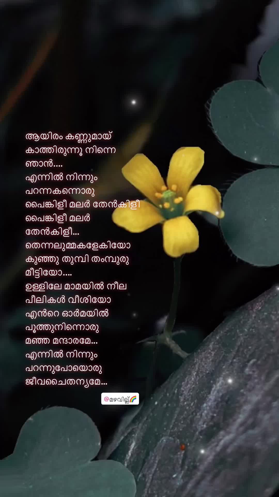 @മഴവില്ല്🌈
