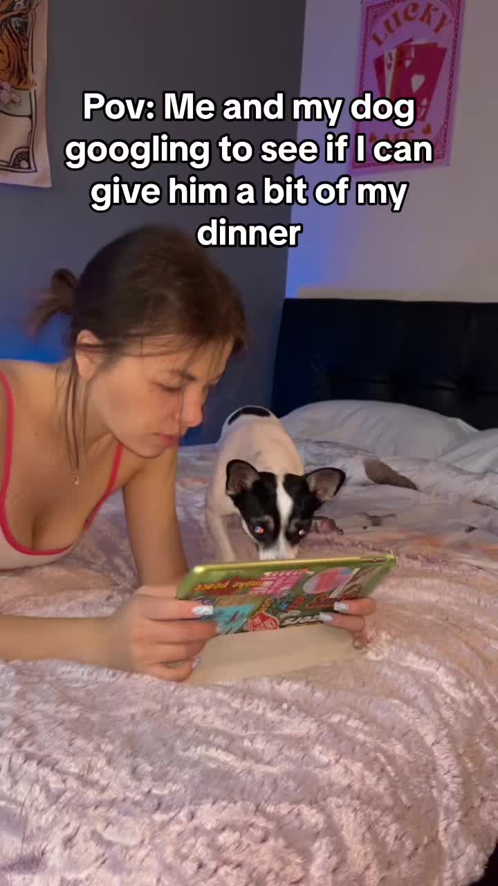 @cutiepienia