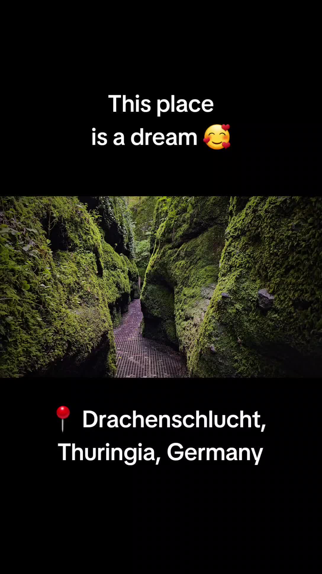 @D. Simmank Photo