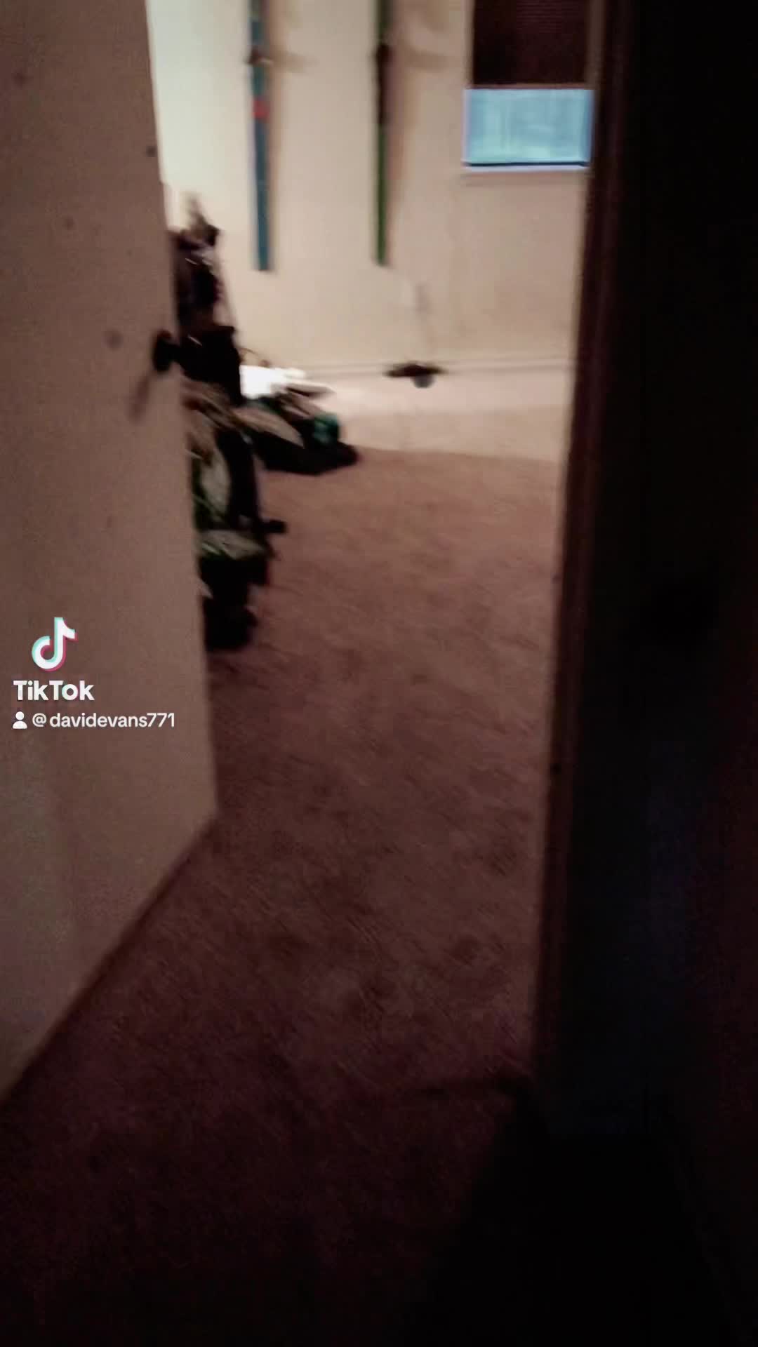 @dyslexicdavis