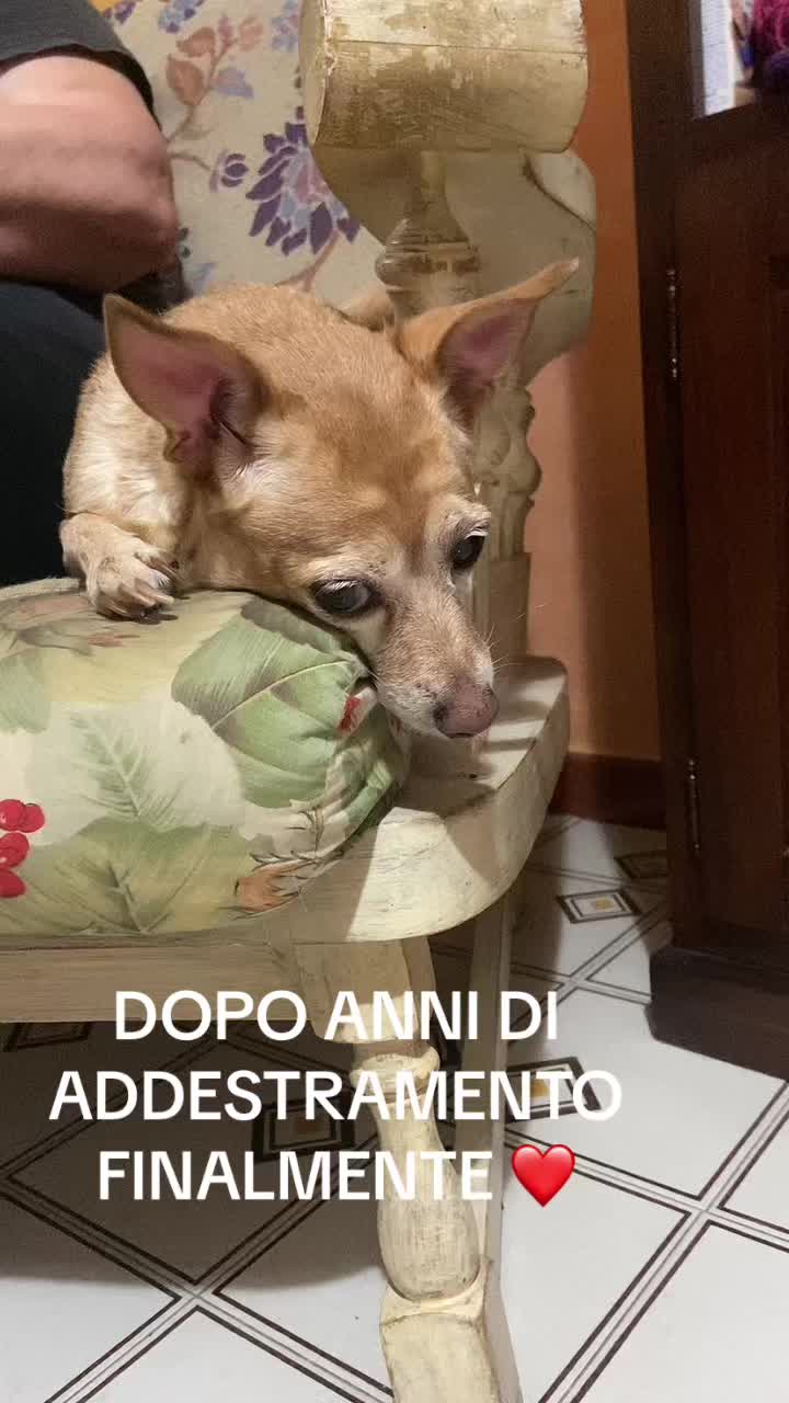@mariacristinaseidita