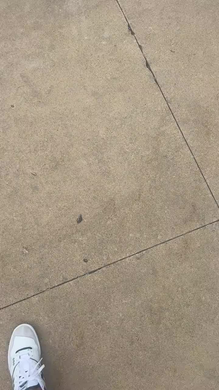 @TORQ Mizzou