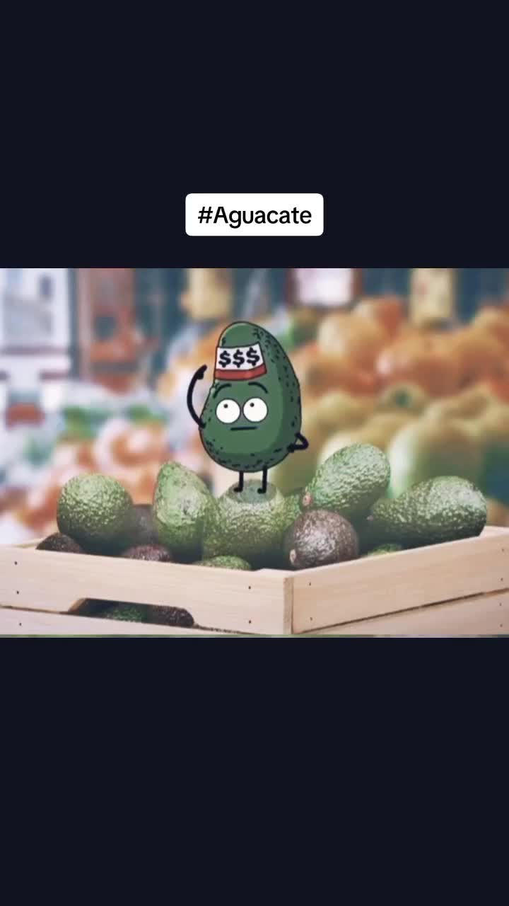 @alexander sanchez