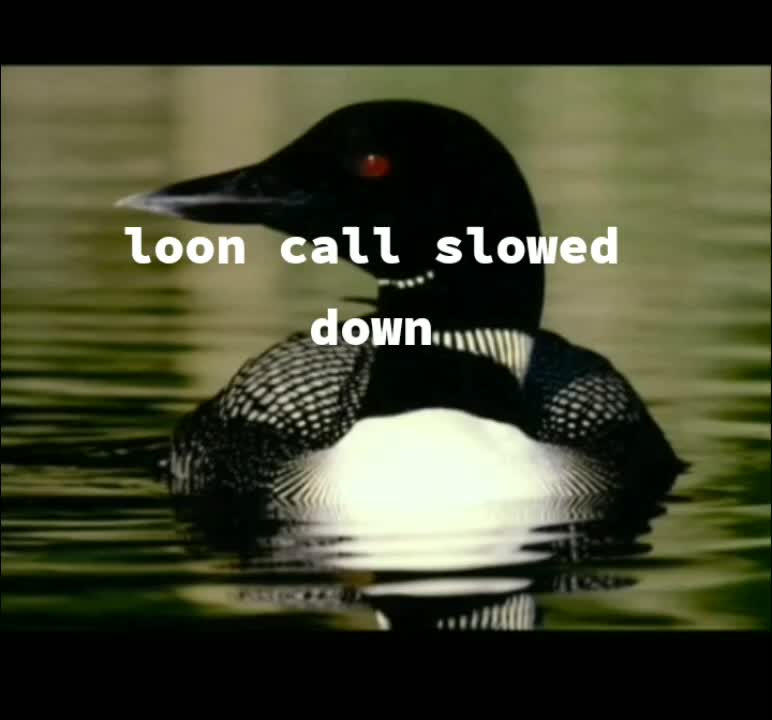 @𓅰𝓰𝓸𝓵𝓭𝓮𝓷 𝓯𝓻𝓭𝓭𝔂𓅰