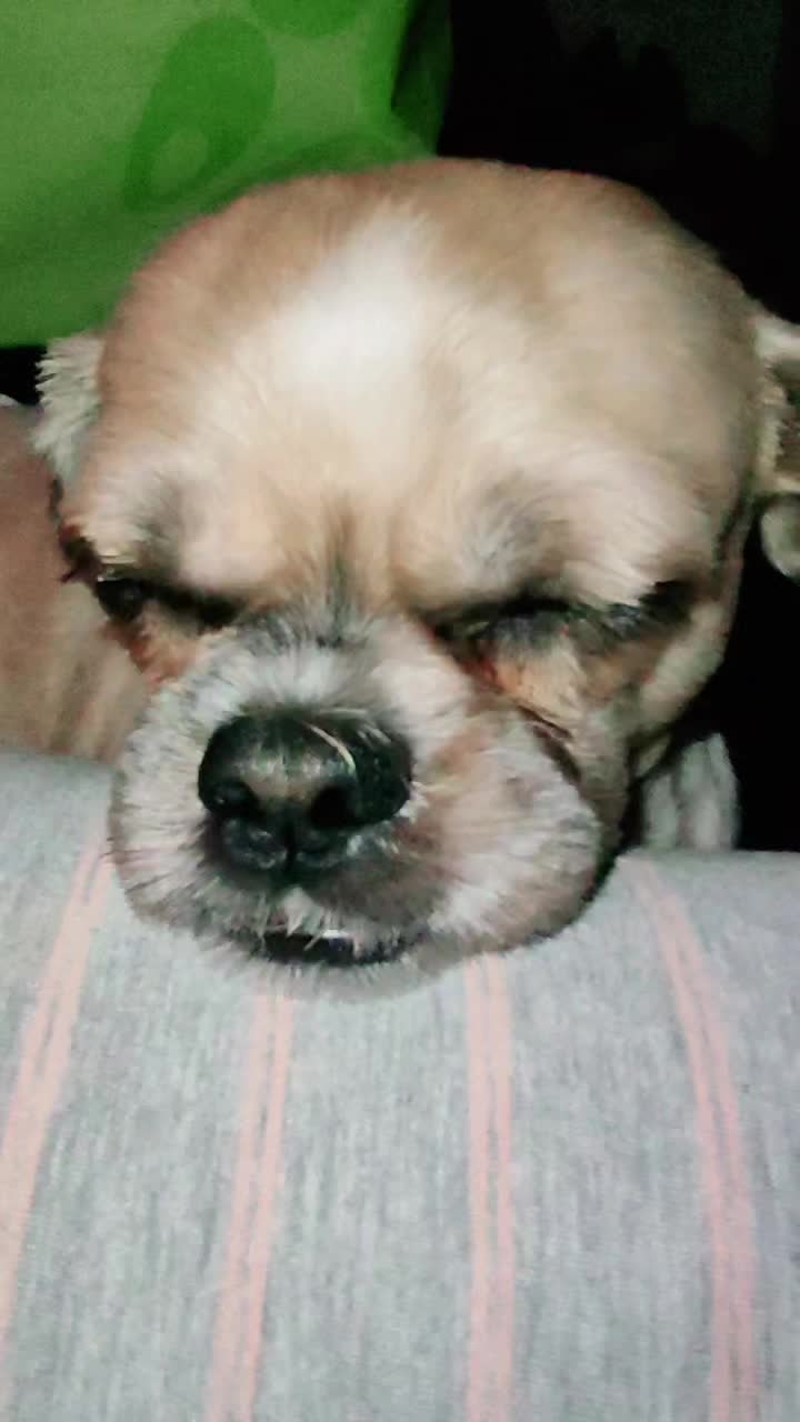 @Furmama